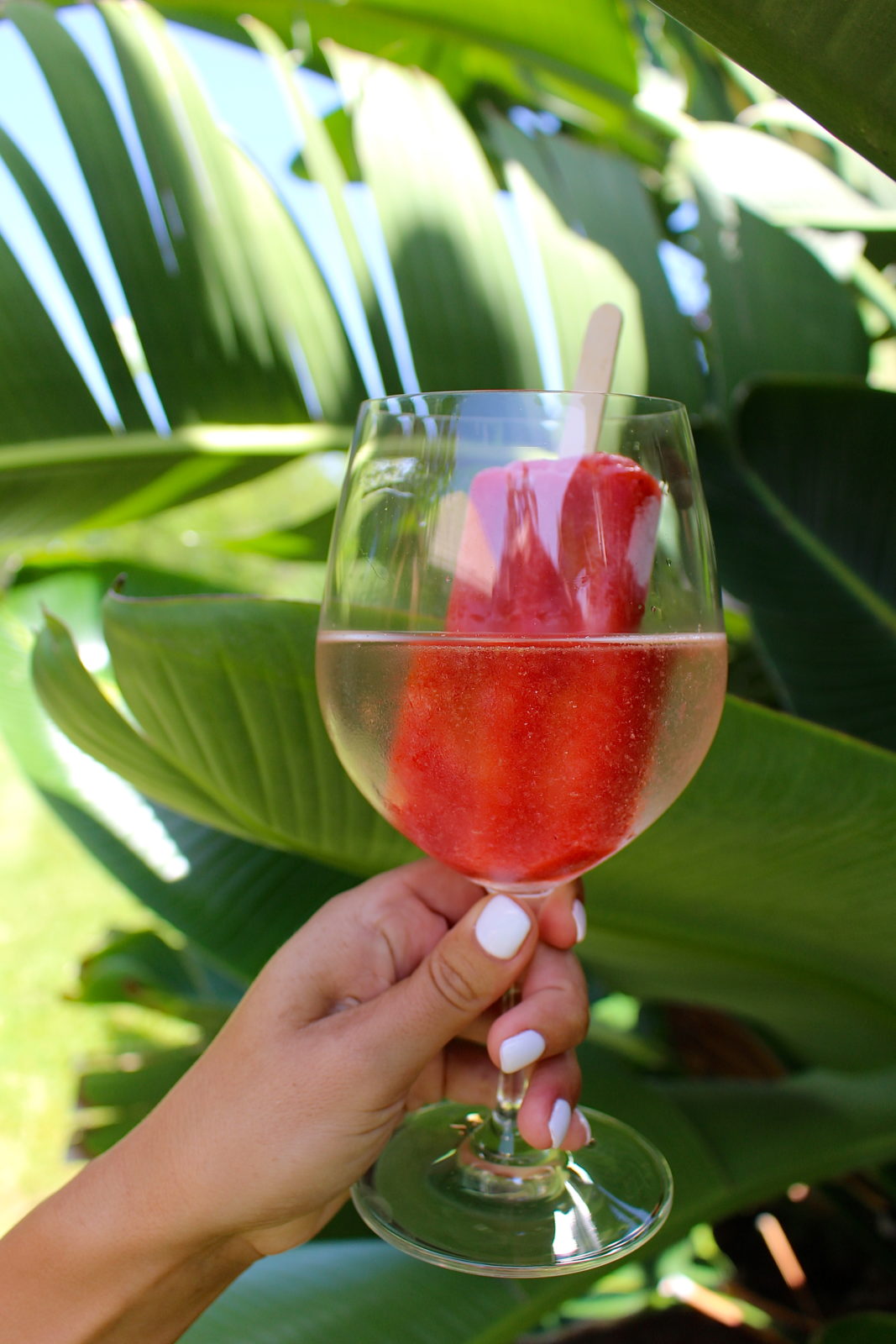 Tipsy Popsicle Cocktails The Preppy Hostess